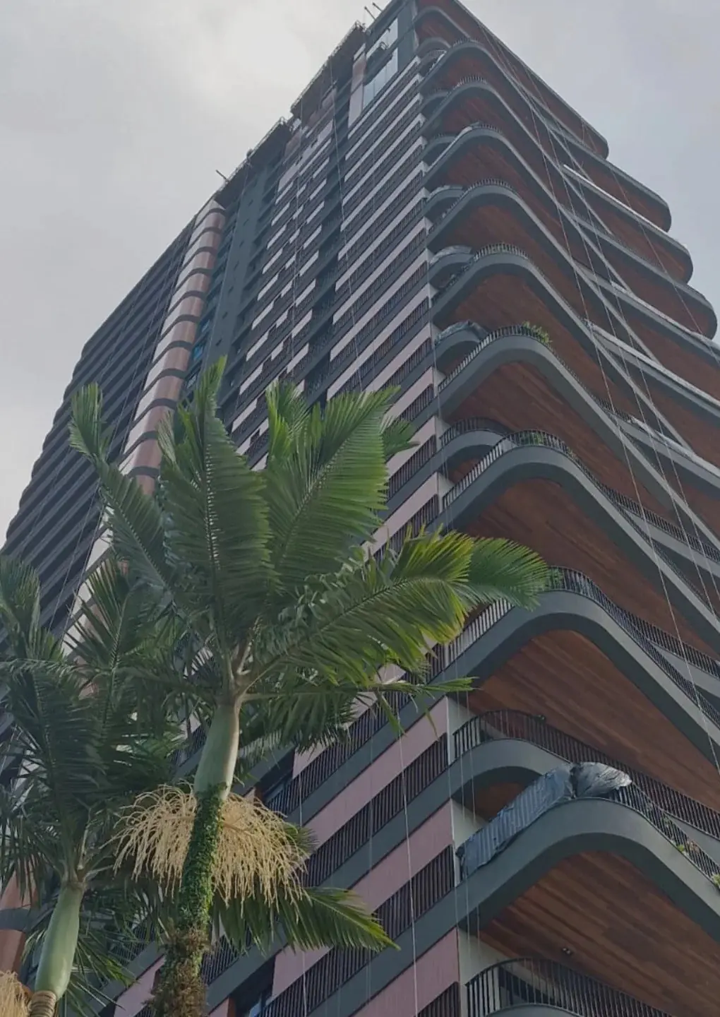Opera Fachada